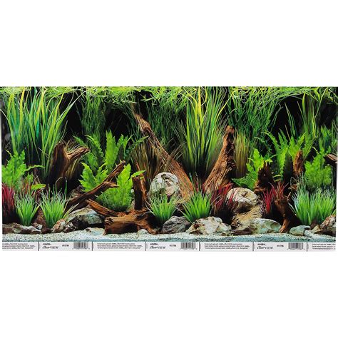 petco aquarium background